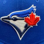Blue Jays eliminate Yankees and advance to ALCS for 1st time since 2016