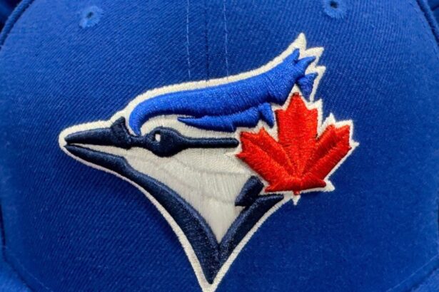 The High Flyers of Baseball The Toronto Blue Jays’ Storied Legacy
